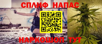 хмурый Тула