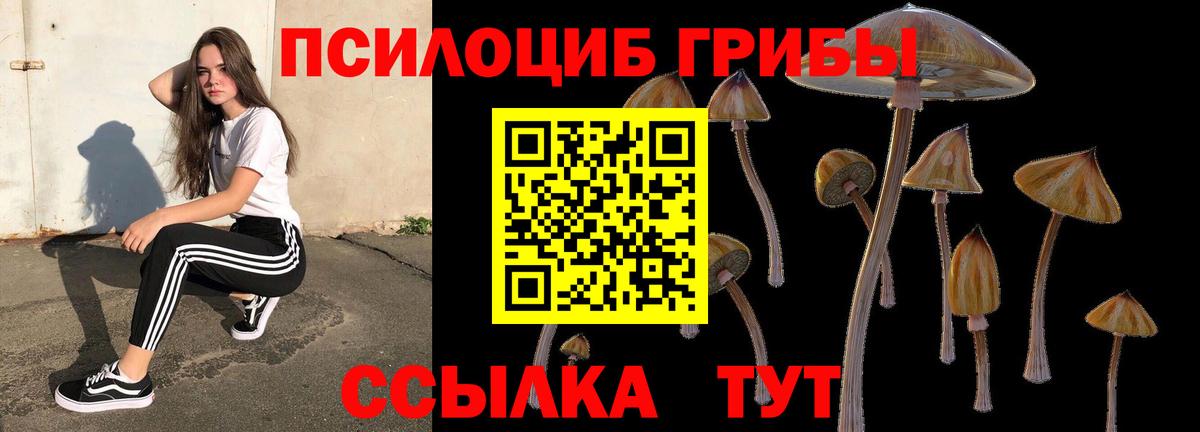 Галлюциногенные грибы мицелий Новоалтайск